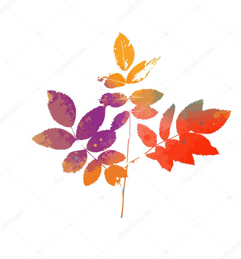 The object is a graceful multicolored twig with leaves. Mixed media. Vector illustration