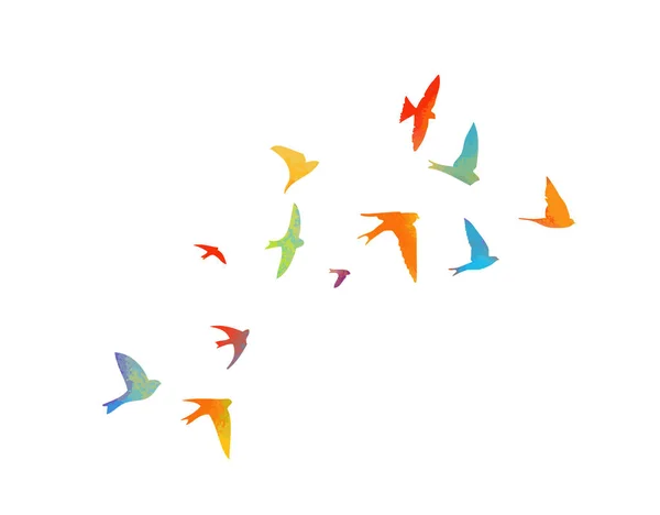 Tragadas multicolores. Manada voladora de aves. Ilustración vectorial — Vector de stock