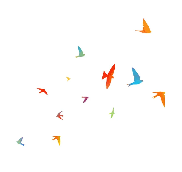 Tragadas multicolores. Manada voladora de aves. Ilustración vectorial — Vector de stock