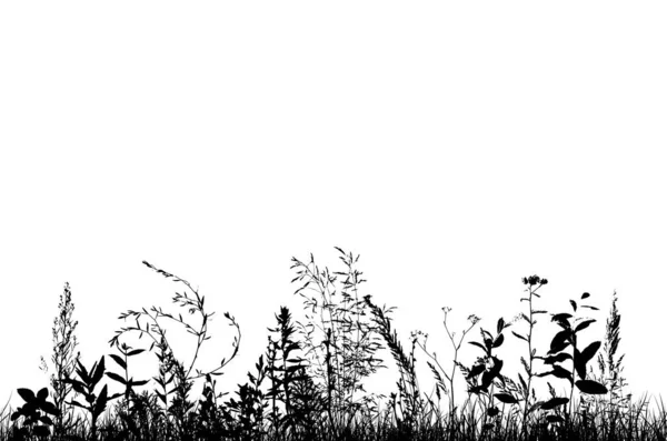 Silhouette en herbe. Herbe monochrome avec des fleurs. Illustration vectorielle — Image vectorielle