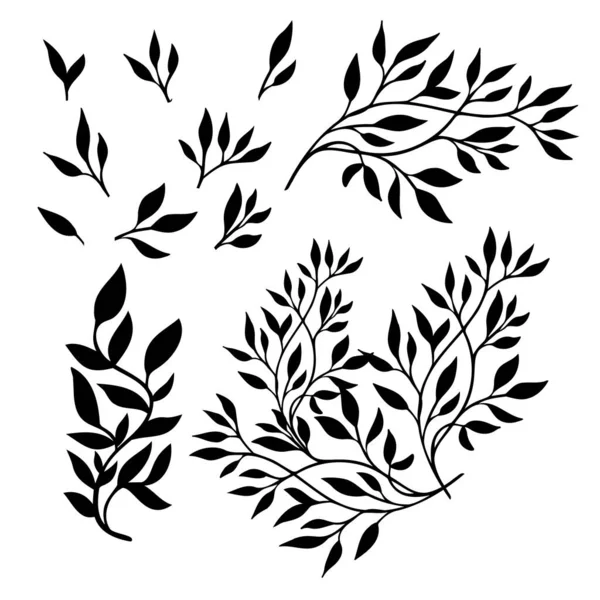 Conjunto de ramitas negras con hojas. Ilustración vectorial — Archivo Imágenes Vectoriales