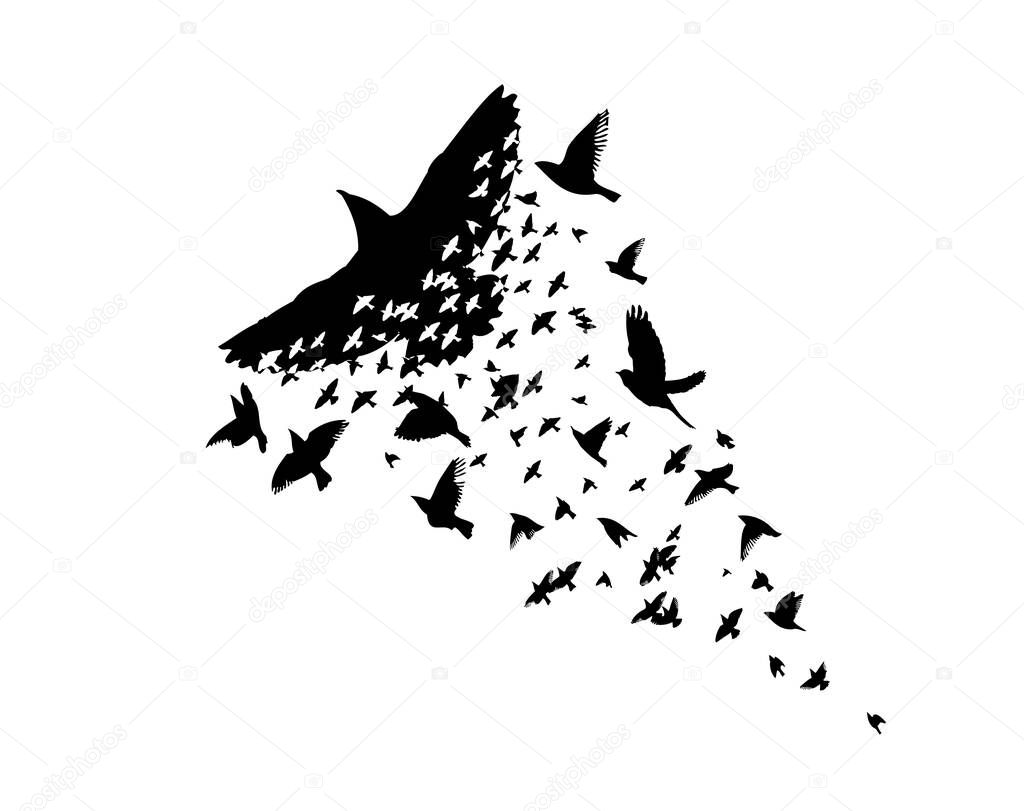A flock of flying birds. Abstraction bird mosaic. Vector illustration