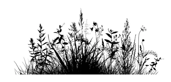 Grässiluett. Enfärgat gräs med blommor. Vektorillustration — Stock vektor