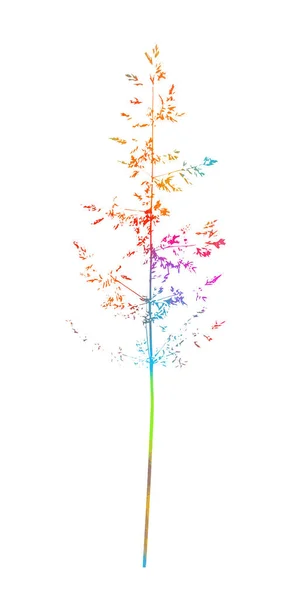 Isolerad vektor illustration av en äng gräs. Element för design. Blågräsängsgräs. Flerfärgad vektor illustration — Stock vektor