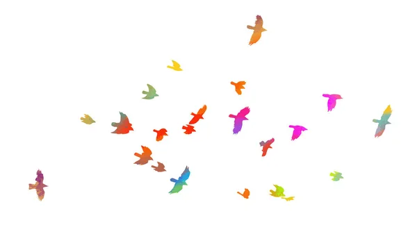 Een kudde kleurrijke vogels. Vectorillustratie — Stockvector