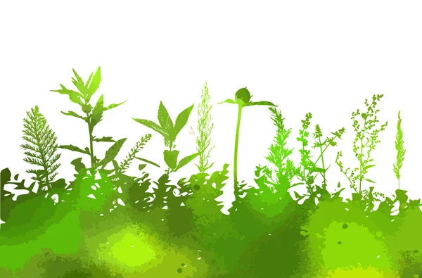 สีเงาของหญ้า หญ้าสีเขียวกับดอกไม้ รักษาพื้นหลังสมุนไพร รูปแบบเวกเตอร์ — ภาพเวกเตอร์สต็อก