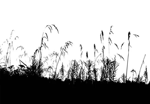 Grassilhouette. Heilkräuter-Hintergrund. Einfarbiges Gras mit Blumen. Vektorillustration — Stockvektor