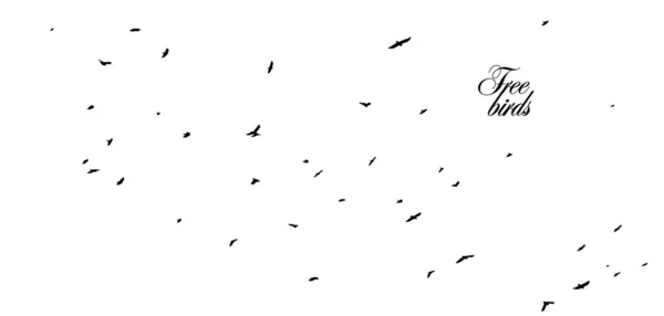 En flock flygande fåglar. Vektorillustration — Stock vektor