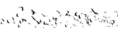 Uçan bir kuş sürüsü. Vektör illüstrasyonu