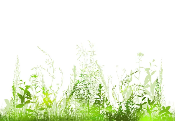 Silueta de hierba. hierba verde con flores. Ilustración vectorial — Vector de stock
