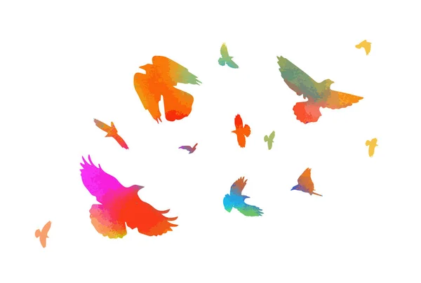 En flock färgglada fåglar. Vektorillustration — Stock vektor