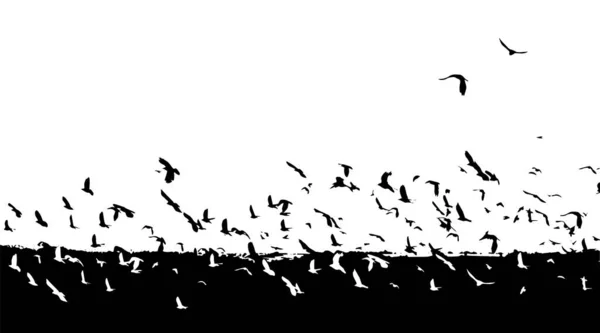 Стая летающих птиц. Добро и зло. Монохромные птицы. Векторная иллюстрация — стоковый вектор