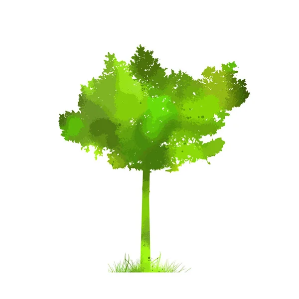 Objeto de árbol verde. Medios mixtos. Ilustración vectorial — Archivo Imágenes Vectoriales