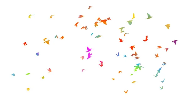 Coloridos pájaros voladores en el cielo. Ilustración vectorial — Vector de stock