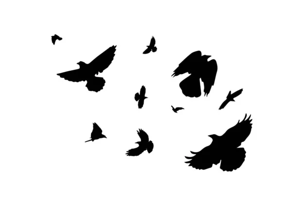 Una Bandada Aves Voladoras Vector — Vector de stock