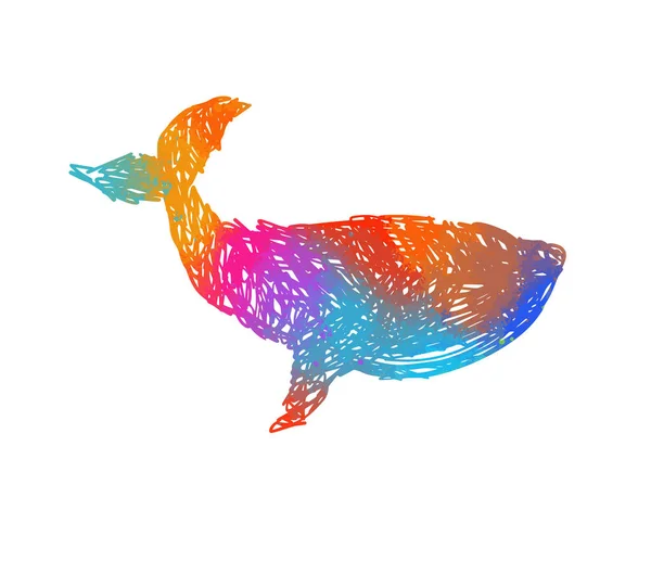 Whale Colorful Handmade Vector — Stock Vector