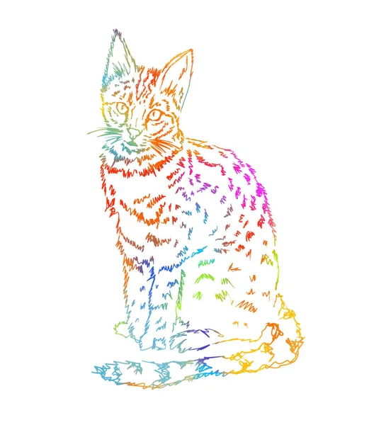 Cat Ilustración Vectorial Dibujada Mano Aislada — Vector de stock