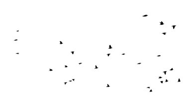 Uçan büyük bir kuş sürüsü. Özgür kuşlar. Vektör illüstrasyonu