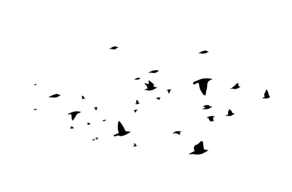 Uçan büyük bir kuş sürüsü. Özgür kuşlar. Vektör illüstrasyonu — Stok Vektör