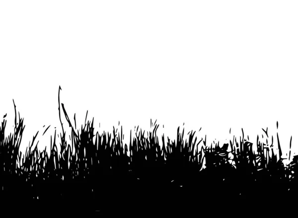 Siyah çim silueti. Vektör illüstrasyonu — Stok Vektör