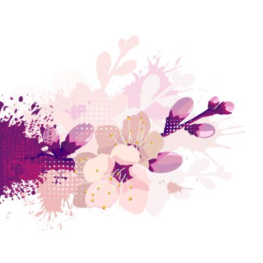 Kiraz çiçek açan bahar