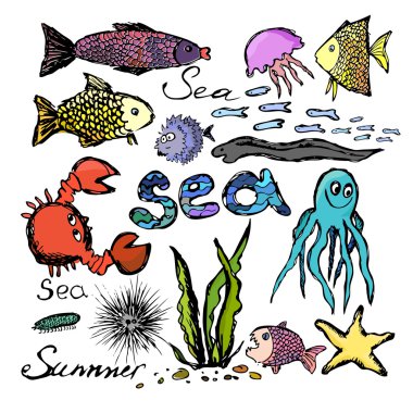Deniz hayvanlar illüstrasyon