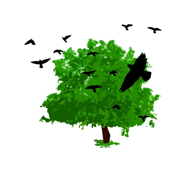 Árbol verde de verano con pájaros — Vector de stock