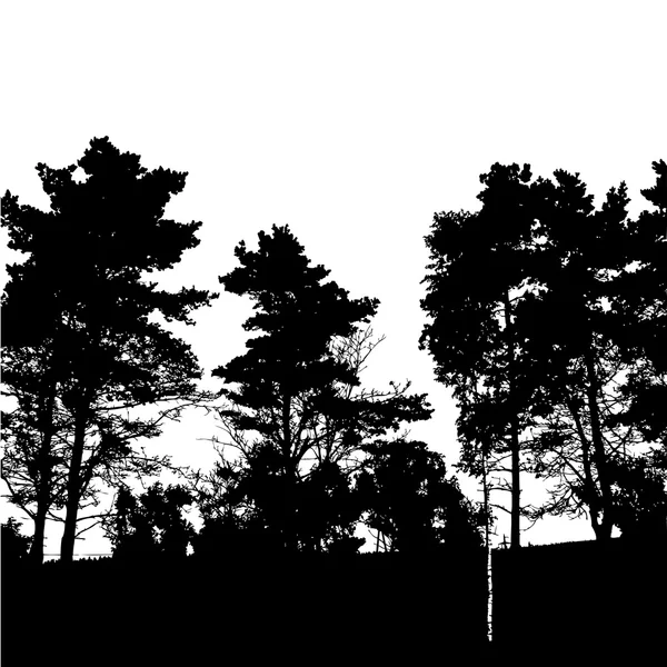 在森林中的树木剪影 — 图库矢量图片