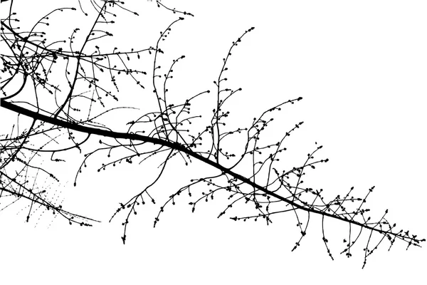 Abstraktní stromové větvičky — Stockový vektor
