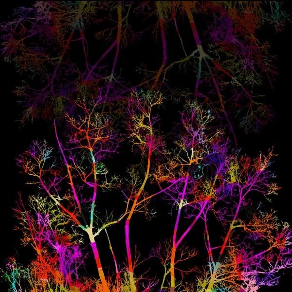 木の枝のカラフルなシルエット — ストックベクタ