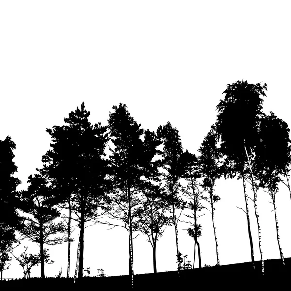 Silhouette di alberi nella foresta — Vettoriale Stock