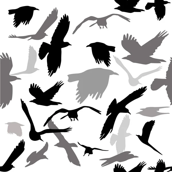 Oiseaux volants sans couture — Image vectorielle