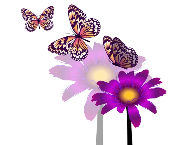 Flygande fjärilar och sommarblommor — Stock vektor