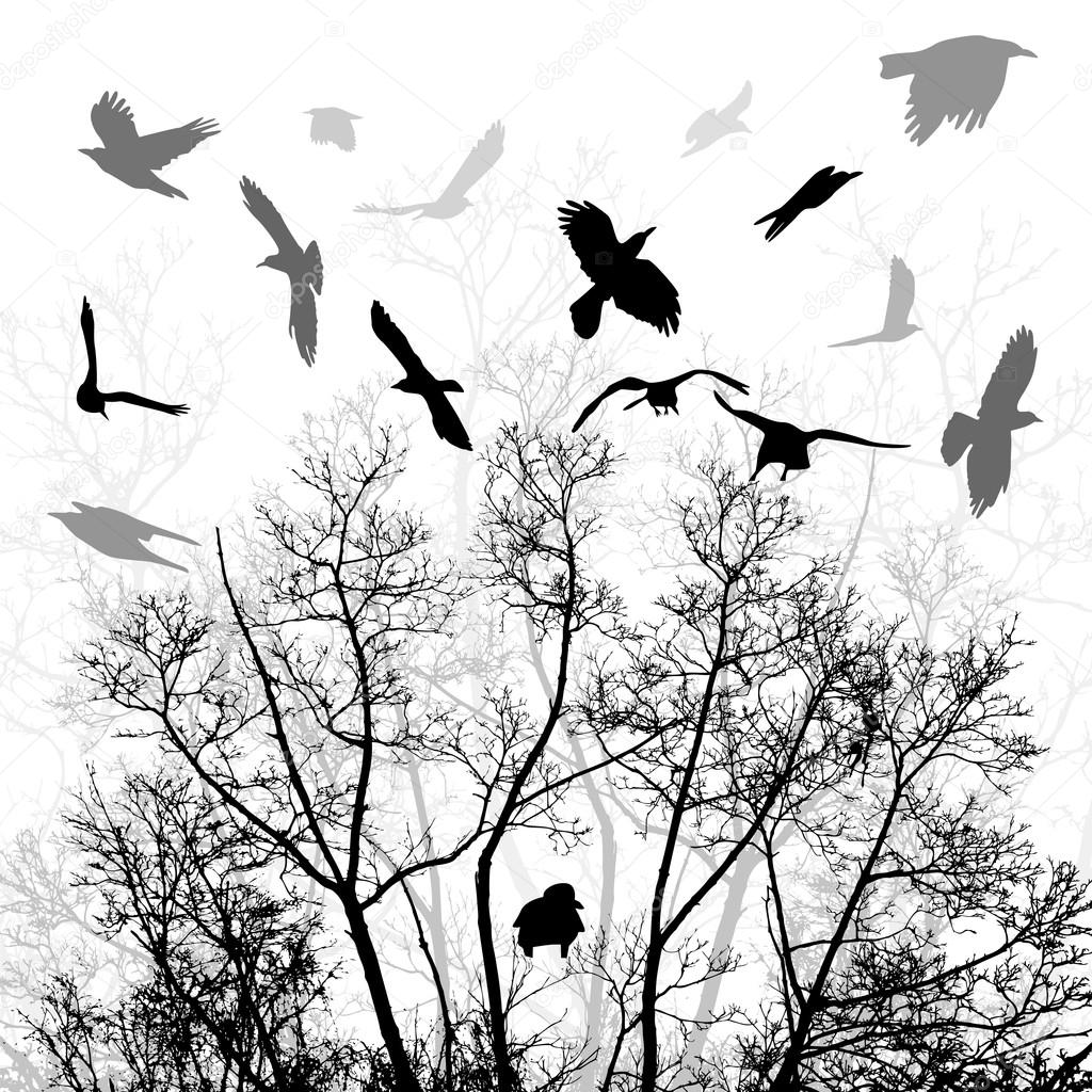 Flying birds flock