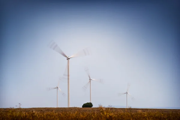 Windpark. — Stockfoto