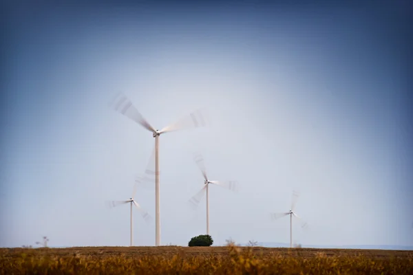 Wind farm. Stock Image
