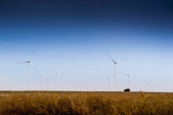 Windpark. — Stockfoto