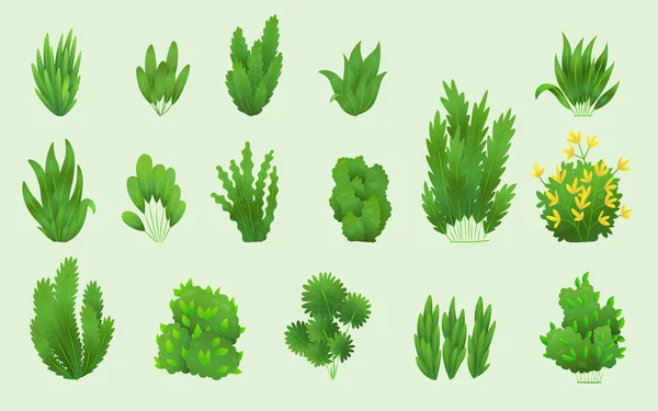 Gräs eller buskar. Grönt realistiskt vårgräs. Färska växter, botaniska grönsaker, örter och blad vektor isolerad på vitt. Olika mönster av naturlig gräsmatta äng buskar — Stock vektor