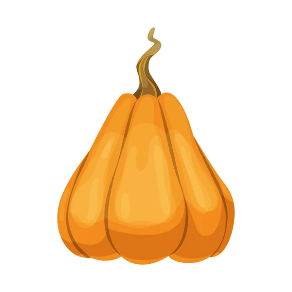 Icono de calabaza de dibujos animados. Calabaza de otoño naranja y amarilla. Gran calabaza vegetal. Cosecha de la granja vegetal fresca y sabrosa — Vector de stock