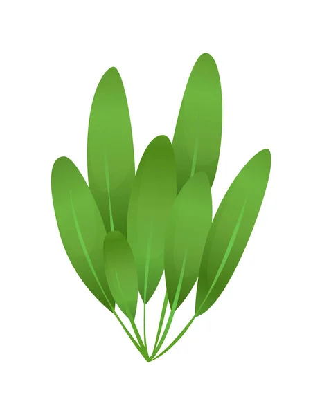 Tufo De Grama Stock Vectors Royalty Free Tufo De Grama Illustrations ページ 2 Depositphotos Tufo De Grama Stock Vectors Royalty Free Tufo De Grama Illustrations ページ 2 Depositphotos