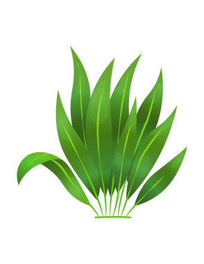 Çimenler ya da çalılar. Yeşil bahar çimeni. Taze bitkiler, bahçe bitkileri, bitkiler ve yapraklar beyaza izole edilmiş. Doğal çayır çalıları, çiçekli bitkiler. Bir sahne yaratmak için element