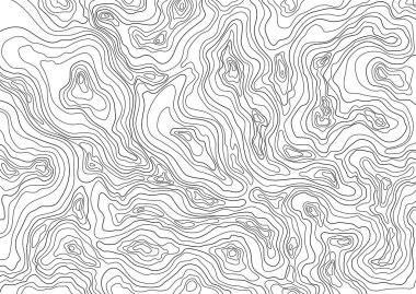Topografik harita arkaplan kavramı. Topografik veya izolinli tek renkli topoğrafik arkaplan deseni. Coğrafya kavramı