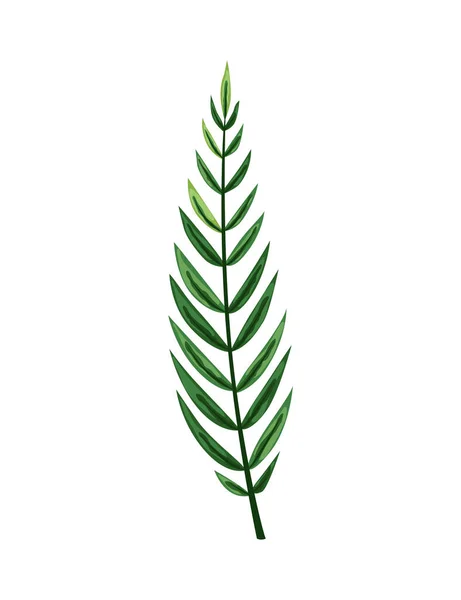 Τροπικά αφηρημένα πράσινα απομονωμένα φύλλα. Βοτανικό στοιχείο για την εμπορία καλλυντικών spa ή προϊόντων περιποίησης ομορφιάς. Φύλλο εξωτικών φυτών — Διανυσματικό Αρχείο