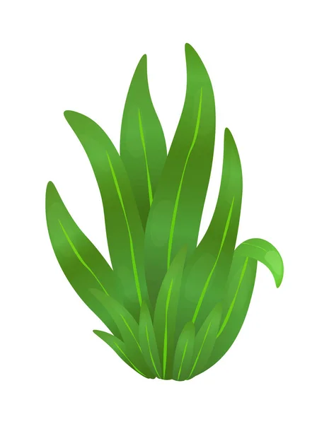 Χόρτο ή θάμνους. Πράσινο ρεαλιστικό γρασίδι άνοιξη. Φρέσκα φυτά, βοτανικά φυτά κήπου, βότανα και φύλλα που απομονώνονται σε λευκό. Φυσικοί θάμνοι λιβαδιών γκαζόν, ανθική βλάστηση — Διανυσματικό Αρχείο