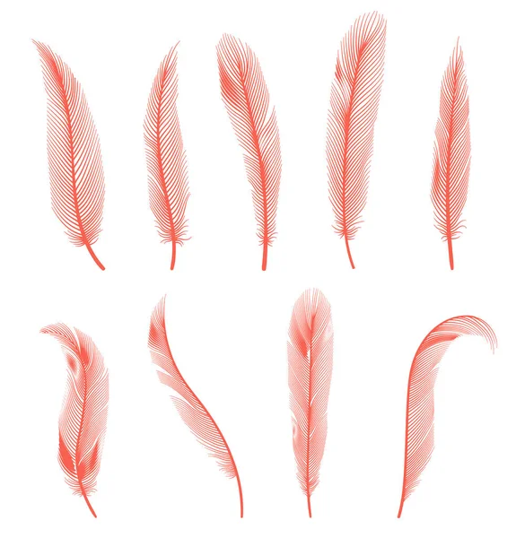 Coral detailed feathers of bird collection. Vector decorative fluffy pink feathers of flamingo or goose. Set plume icon isolated on white background — Stock Vector