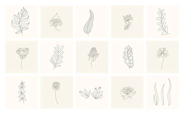 Elementos florais Coleção de plantas desenhadas à mão. Definir elementos de design em flores estilo esboço e ramos. Ícones botânicos —  Vetores de Stock
