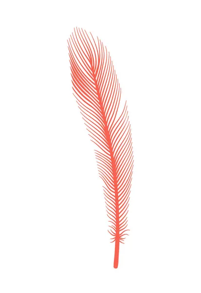 珊瑚细长的鸟毛.火烈鸟或鹅的矢量装饰蓬松粉红羽毛。白色背景上孤立的Plume图标 — 图库矢量图片
