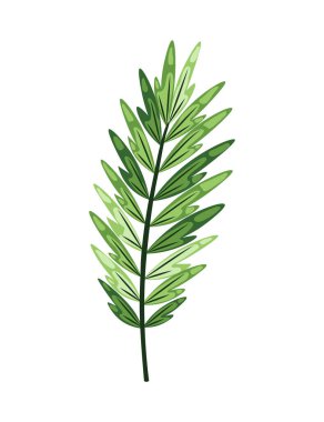 Tropik soyut yeşil yapraklar. Kozmetik ürünleri ya da güzellik ürünleri pazarlamak için botanik öğesi. Egzotik bitki yaprakları