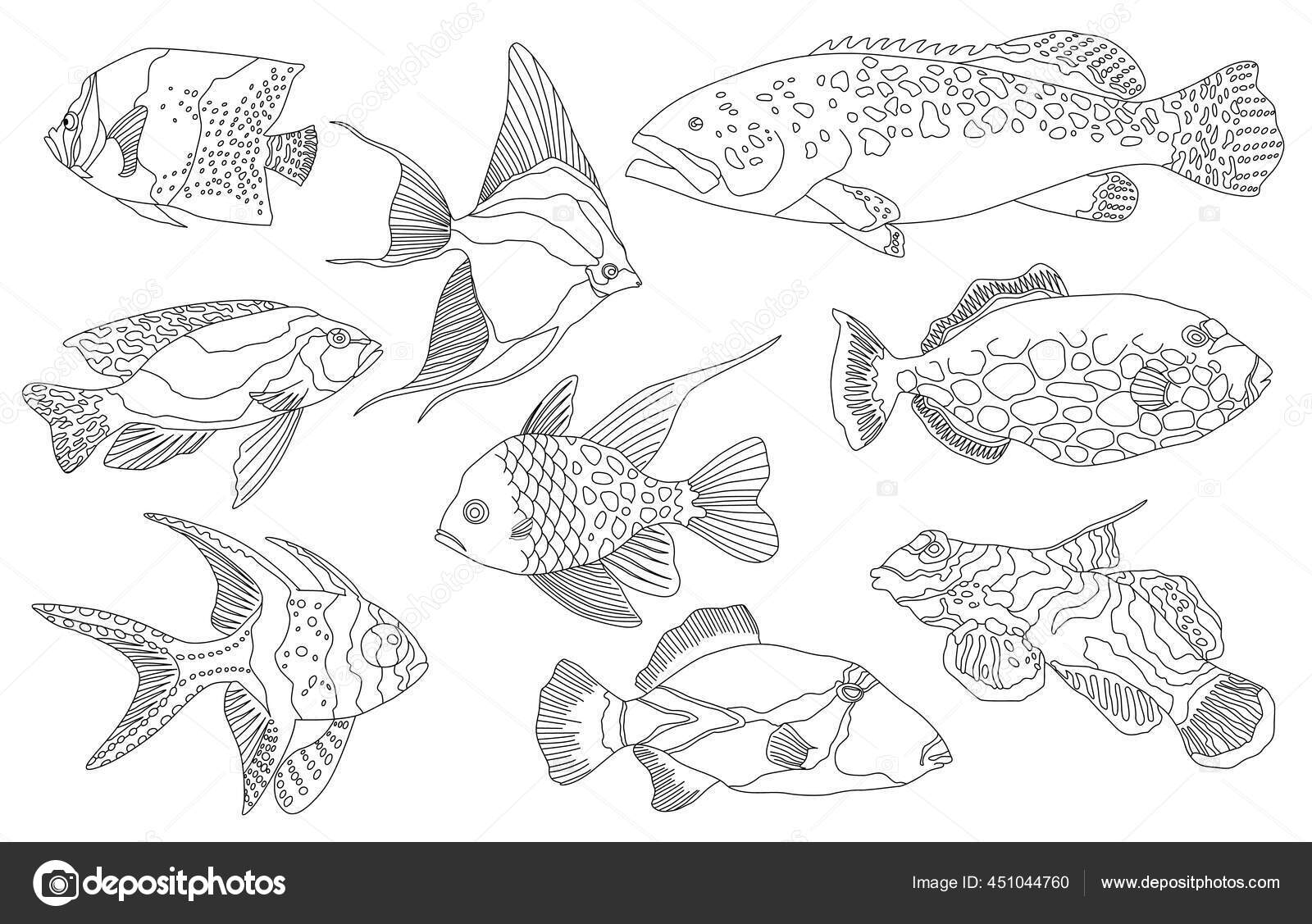 Lautan Tropis Dan Akuarium Koleksi Ikan Pada Latar Belakang Putih Set Air Tawar Dan Air Tawar Aquarium Ikan Kartun Varietas Ornamen Ikan Populer Dalam Gaya Menggambar Garis Sketsa Stok Vektor