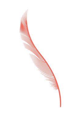 Mercan kuş tüyü. Süslü, tüylü, tüylü pembe flamingo ya da kaz tüyü. Plume simgesi beyaz arkaplanda izole edildi